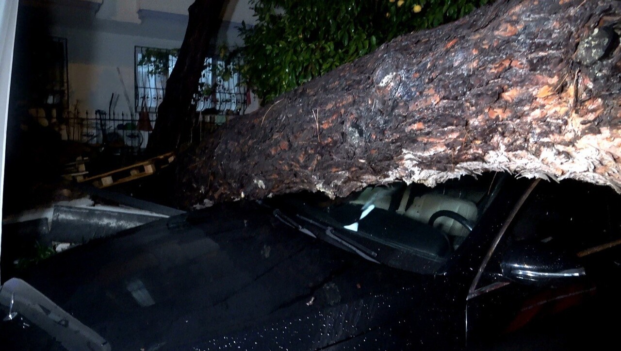 ANTALYA’DA ETKİLİ OLAN YAĞIŞ, DAHA ÖNCE ŞİKÂYET EDİLDİĞİ BELİRTİLEN AĞACIN DEVRİLMESİNE YOL AÇTI;...
