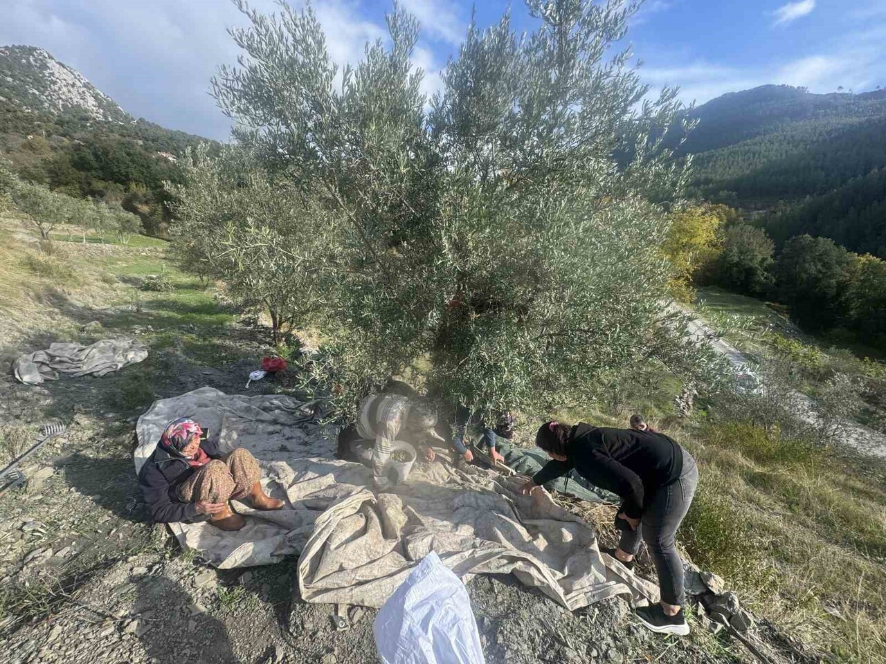 ANTALYA’NIN AKSEKİ İLÇESİ ÇUKURKÖY MAHALLESİ’NDE YAŞAYAN 88 YAŞINDAKİ EMİNE AKSOY, İLERLEYEN...
