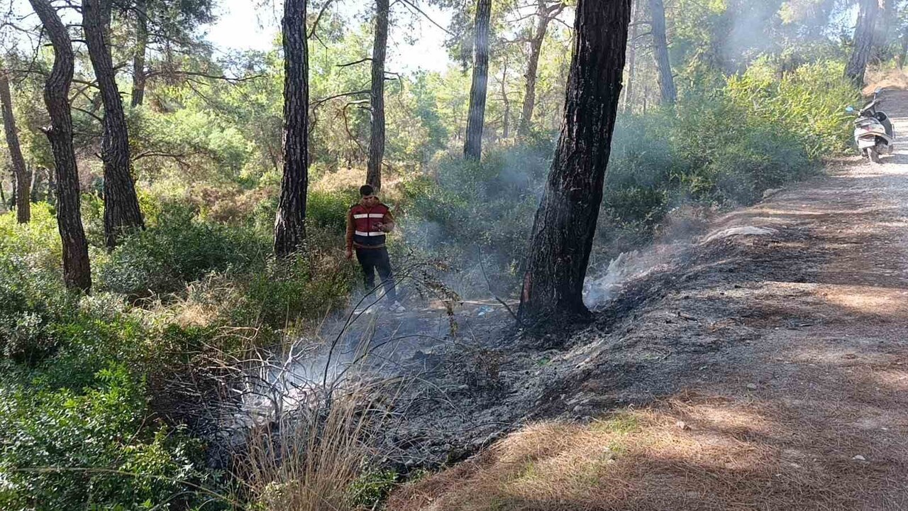 ANTALYA’NIN MANAVGAT İLÇESİNDE ORMANLIK ALANDA ÇIKAN YANGIN VATANDAŞLARIN MÜDAHALESİ İLE BÜYÜMEDEN...