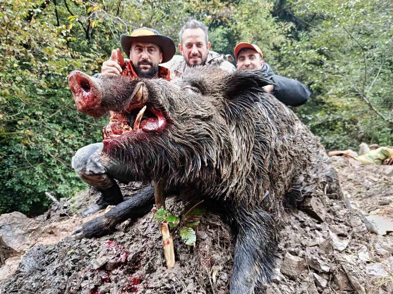 ARAKLI’NIN YEŞİLYURT VADİSİ’NDE AV KÖPEKLERİNİN DESTEĞİYLE DÜZENLENEN SÜREK AVININ DİKKAT ÇEKEN...