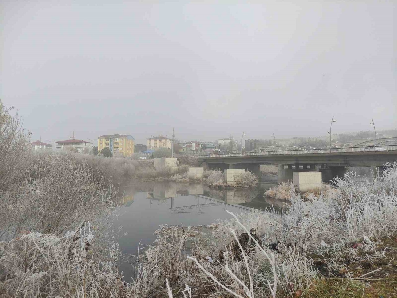 ARDAHAN'DA SABAH SAATLERİNDE DONDURUCU SOĞUKLAR ETKİLİ OLUYOR. KENT MERKEZİNDE AĞAÇLARDA KIRAĞI...