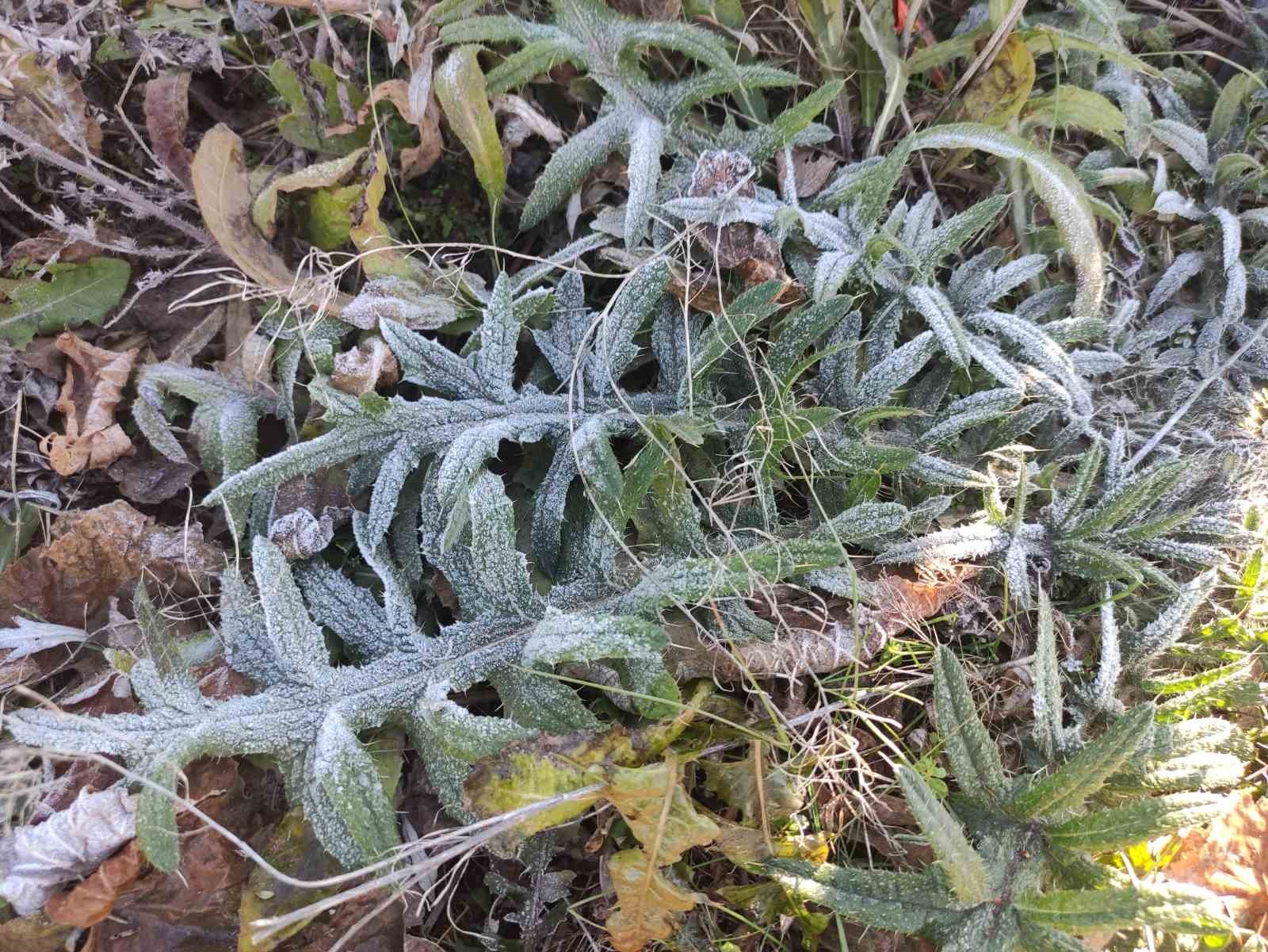 ARDAHAN'IN 2 BİN 30 RAKIMLI GÖLE İLÇESİ DÜN GECE EKSİ 6,4 DERECEYLE TÜRKİYE'NİN EN SOĞUK YERLEŞİM...