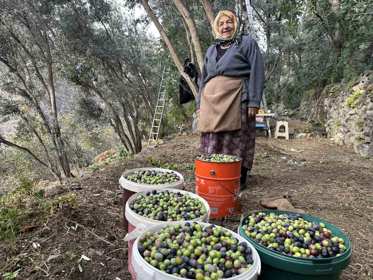 ARTVİN'İN YUSUFELİ İLÇESİNDE YETİŞTİRİLEN VE ULUSLARARASI ALANDA "ÜSTÜN LEZZET ÖDÜLÜ" KAZANAN...