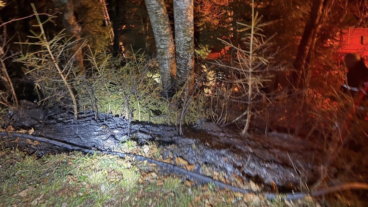 ARTVİN MERKEZ ORTAKÖY ÇALIŞKANLAR MAHALLESİ’NDE YAKLAŞIK 200 METREKARELİK ZİRAAT ALANINDA ÇIKAN...