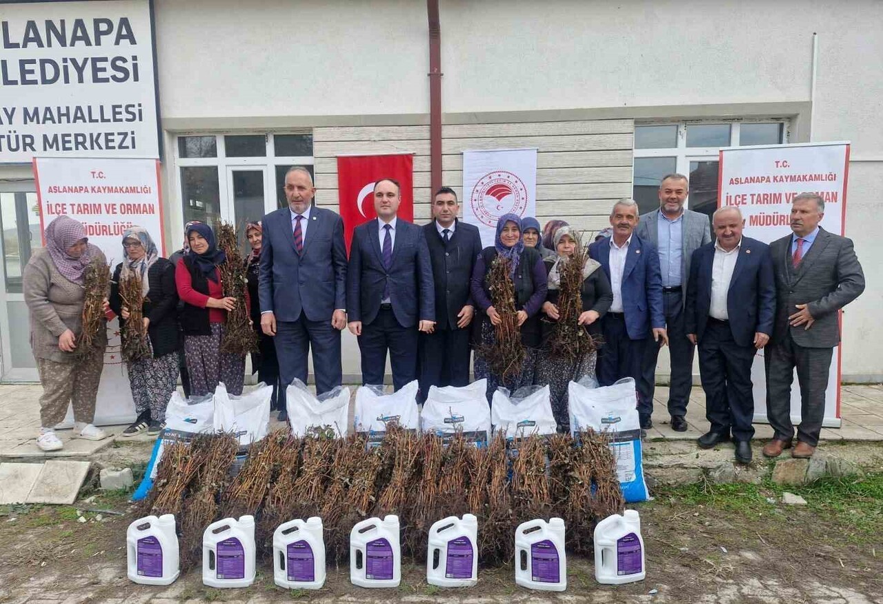ASLANAPA’DA 13 KADIN ÇİFTÇİYE YÜZDE 75 HİBELİ 7 BİN ADET AHUDUDU FİDANI DAĞITILDI