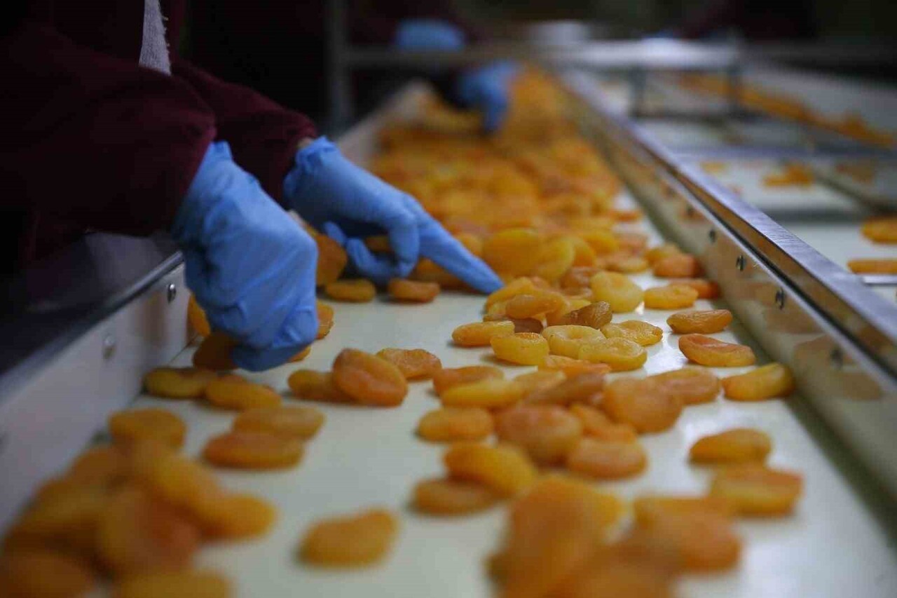 AVRUPA BİRLİĞİ'NDEN (AB) COĞRAFİ İŞARET TESCİLİ ALAN ÜRÜN SAYISI 42’YE ULAŞTI. LİSTENİN ÜÇÜNCÜ...