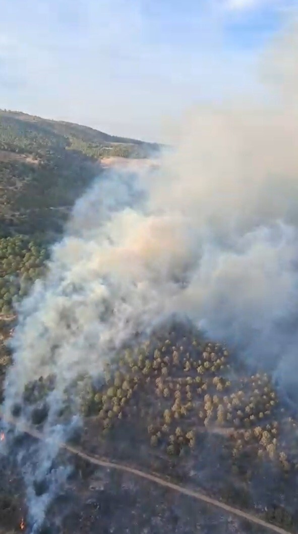AYDIN'IN BOZDOĞAN İLÇESİNDE ZİRAİ ALANDA ÇIKAN VE RÜZGARLA GENİŞ ALANA YAYILARAK ORMANA SIÇRAYAN...