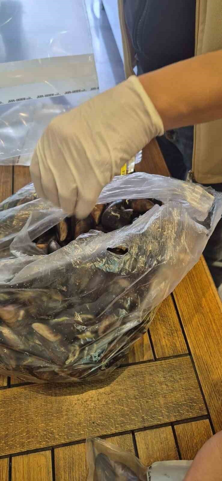 AYDIN'IN SÖKE İLÇESİNDE GIDA SATIŞI YAPAN BİR İŞYERİ İLE İLGİLİ ALO 174 GIDA HATTI'NA GELEN İHBAR...