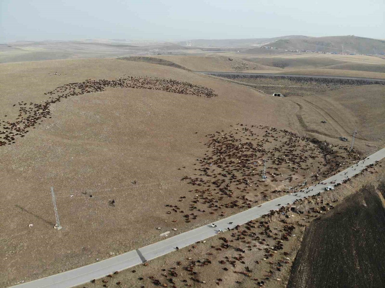 BAHAR VE YAZ AYLARINI HAYVANLARINA DAHA İYİ OTLAKLAR BULMAK İÇİN ÇIKTIKLARI YAKLAŞIK 3 BİN RAKIMLI...