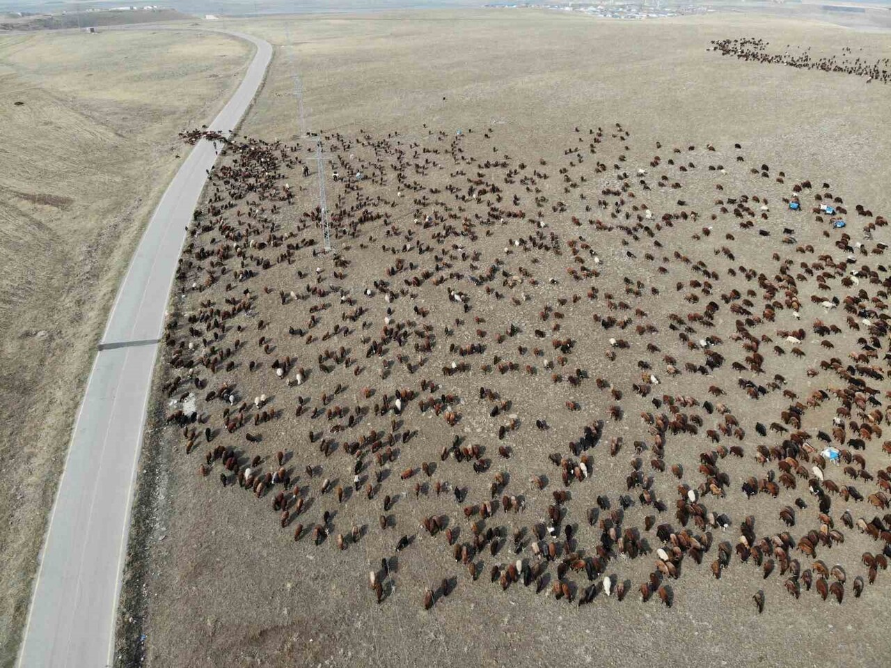 BAHAR VE YAZ AYLARINI HAYVANLARINA DAHA İYİ OTLAKLAR BULMAK İÇİN ÇIKTIKLARI YAKLAŞIK 3 BİN RAKIMLI...