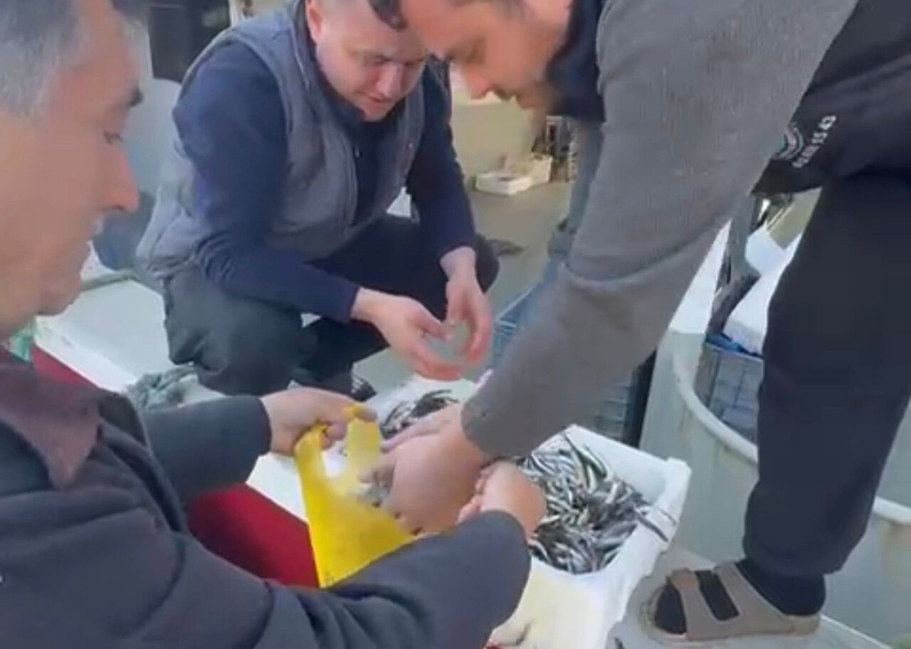 BALIKESİR'İN ERDEK İLÇESİNE BAĞLI PAŞALİMANI ADASI BALIKLI MAHALLESİ'NDE BALIKÇILAR, TEZGÂHLARDAKİ...