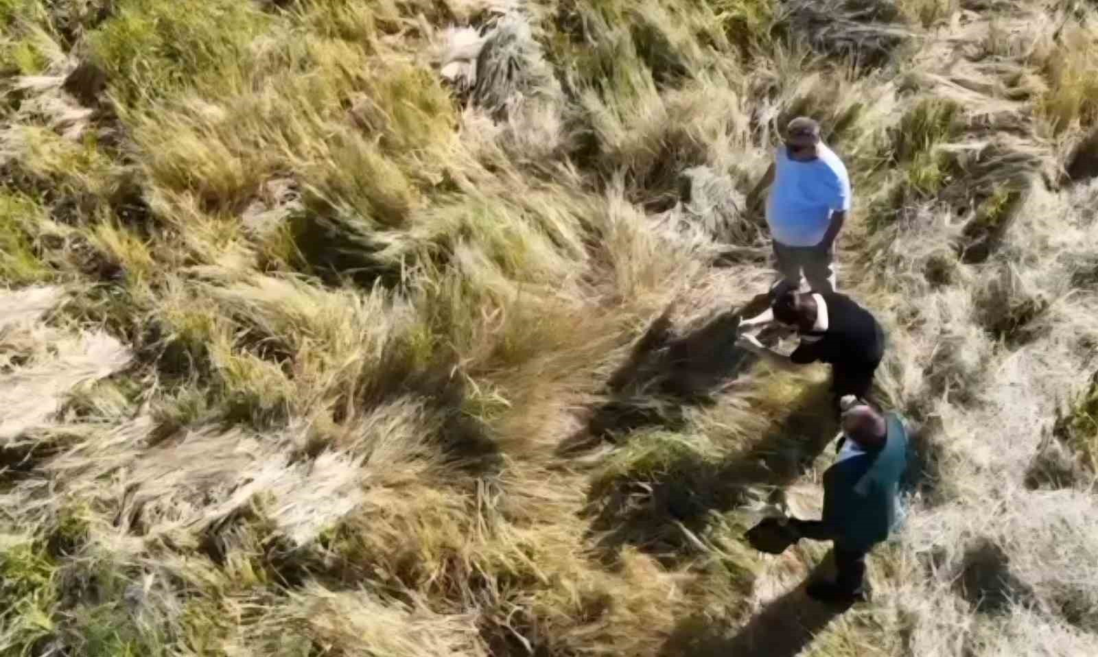 BASMATİ PİRİNCİNDE TESPİT EDİLEN KALINTILAR SONRASINDA, TÜKETİCİLER SAĞLIKLI VE GÜVENİLİR...