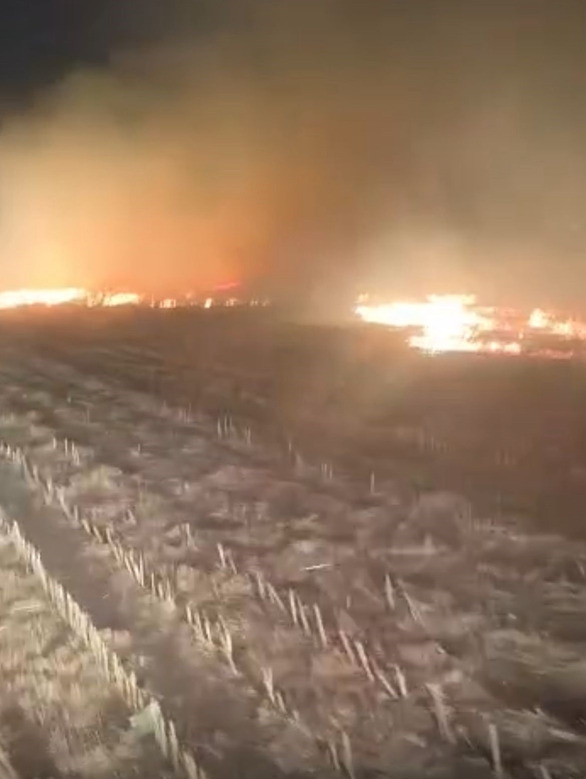 BATMAN'DA ETKİLİ OLAN FIRTINADAN DOLAYI TANDIRDAN SIÇRAYAN KIVILCIMLAR HASADI YAPILAN MISIR...