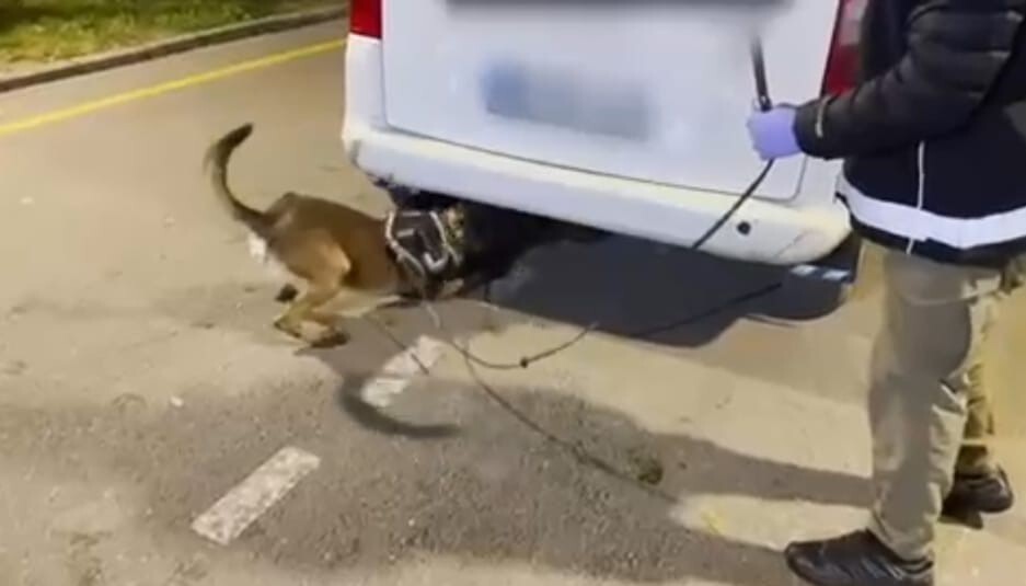 BATMAN'DA NARKOTİK EKİPLERİNCE DURDURULAN OTOMOBİLDE HECTOR İSİMLİ DEDEKTİF KÖPEĞİ EŞLİĞİNDE...