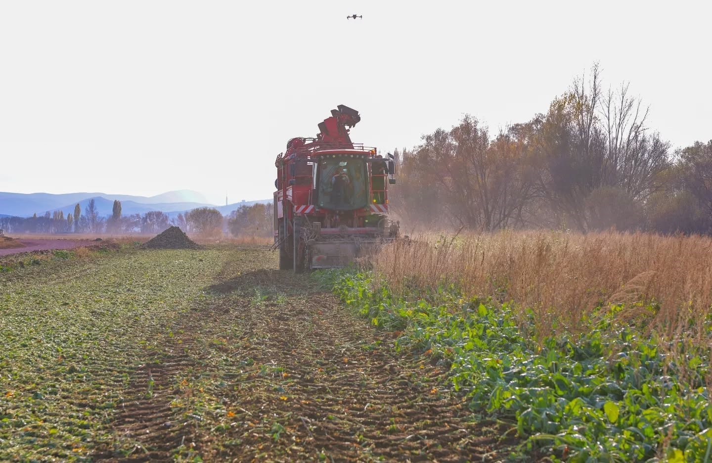 BAYBURT’UN ÇİFTETAŞ KÖYÜNDE ŞEKER PANCARI HASADINA BAŞLANDI