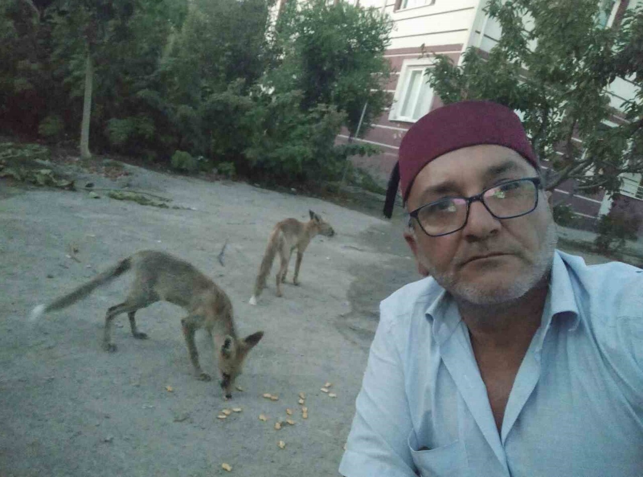 BİRBİRİYLE KÜS OLAN SARI KARDEŞLERİN, TİLKİ KARDEŞLERE GÖSTERDİKLERİ SEVGİ VE SIRA DIŞI...