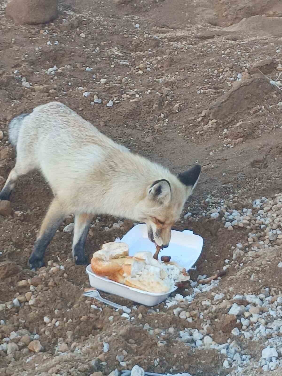 BİTLİS’İN AHLAT İLÇESİNDE BULUNAN BİR POMZA MADENİ, 3 YILDIR ÖRNEK BİR DOSTLUĞA SAHNE...