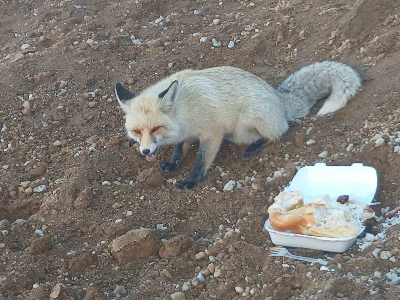 BİTLİS’İN AHLAT İLÇESİNDE BULUNAN BİR POMZA MADENİ, 3 YILDIR ÖRNEK BİR DOSTLUĞA SAHNE...