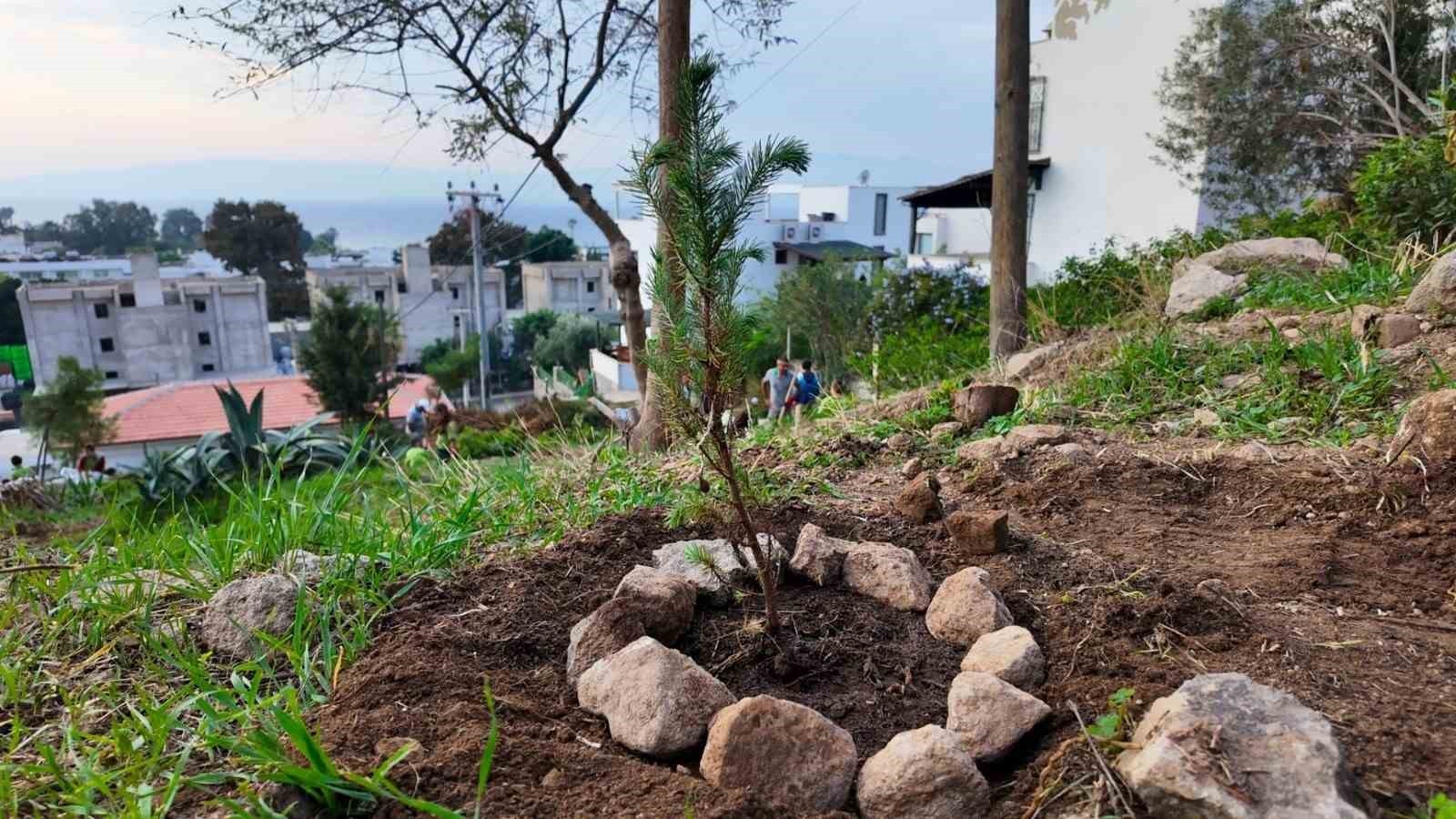 BODRUM BELEDİYESİ, ÇOCUKLARI DOĞA İLE BULUŞTURMAK AMACIYLA KENTİN FARKLI NOKTALARINDA FİDAN DİKİMİ...