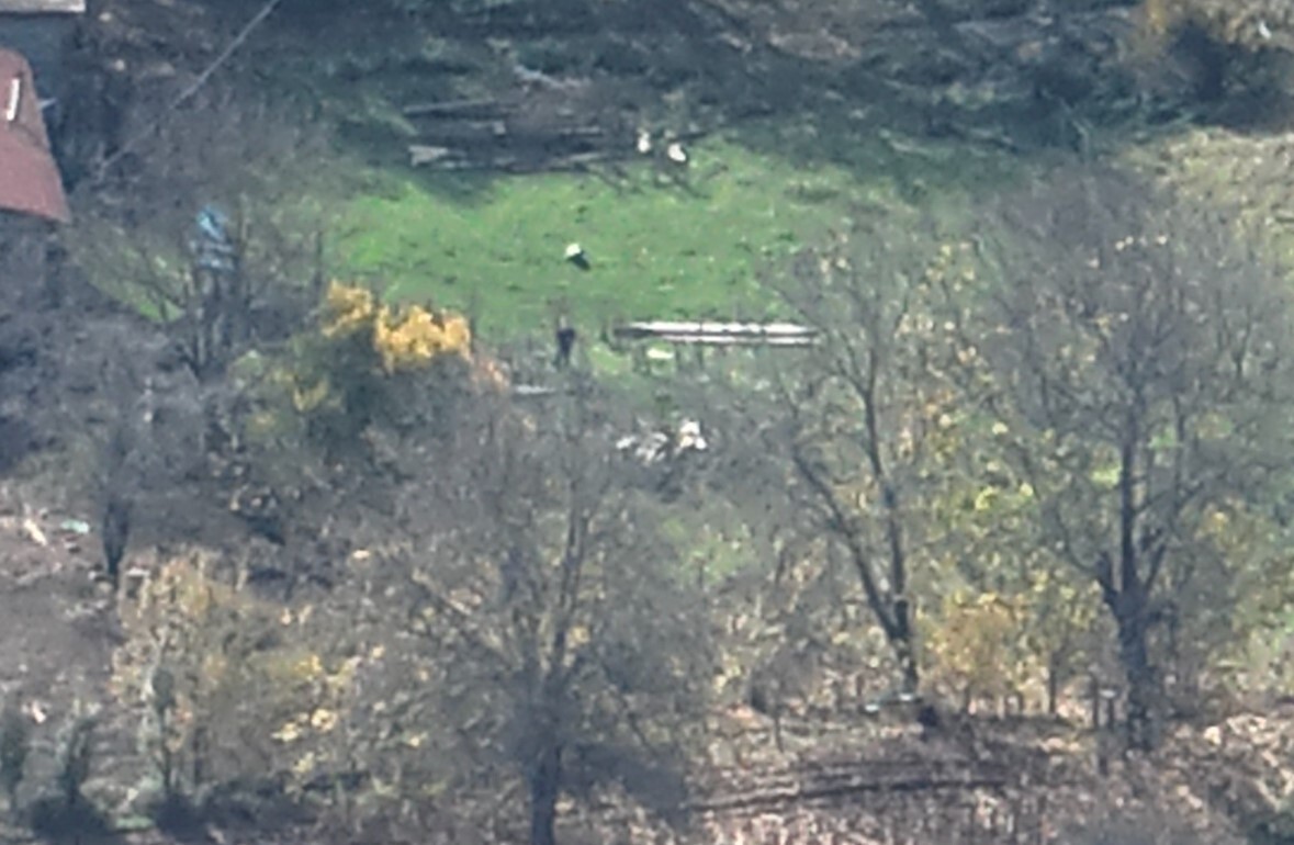 BOLU’NUN MENGEN İLÇESİNE BAĞLI KAVACIK KÖYÜNDE KAYBOLAN 30 KÜÇÜKBAŞ HAYVAN, MENGEN ORMAN İŞLETME...