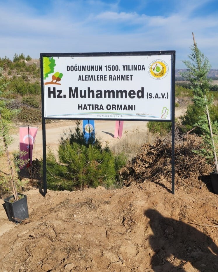 BULDAN ORMAN İŞLETME MÜDÜRLÜĞÜ VE BULDAN İLÇE MÜFTÜLÜĞÜ TARAFINDAN DÜZENLENEN AĞAÇ DİKİM ETKİNLİĞİ...