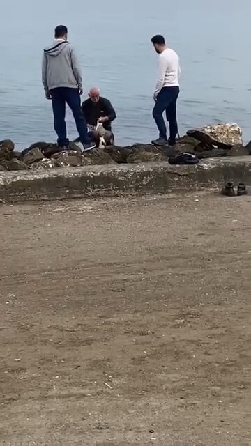 BURSA'NIN MUDANYA İLÇESİ GÜZELYALI SAHİLİNDE OLTALARIN MİSİNA VE KANCALARINA TAKILARAK SU ÜZERİNDE...