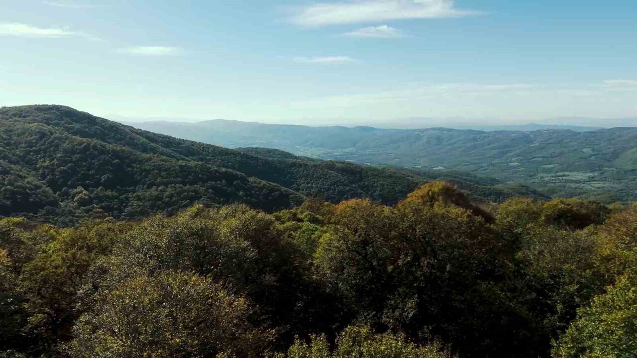 ÇANAKKALE'NİN BİGA İLÇESİNDE ORMANLAR SONBAHAR RENKLERİNE BÜRÜNÜRKEN BU GÜZEL MANZARA HAVADAN...