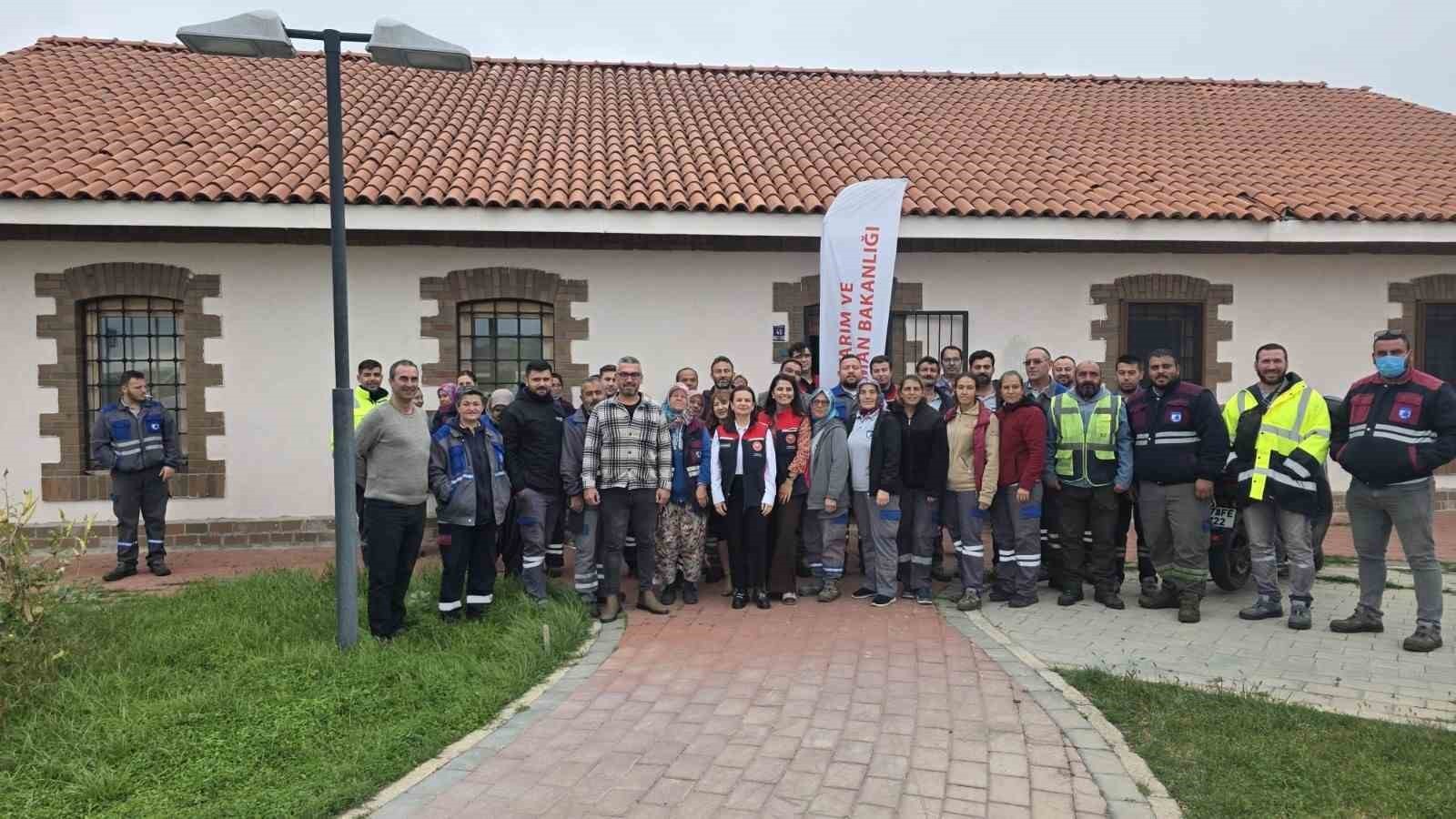 ÇANAKKALE’DE TARIMSAL ÜRETİMİ TEHDİT EDEN KAHVERENGİ KOKARCA ZARARLISINA KARŞI YÜRÜTÜLEN...