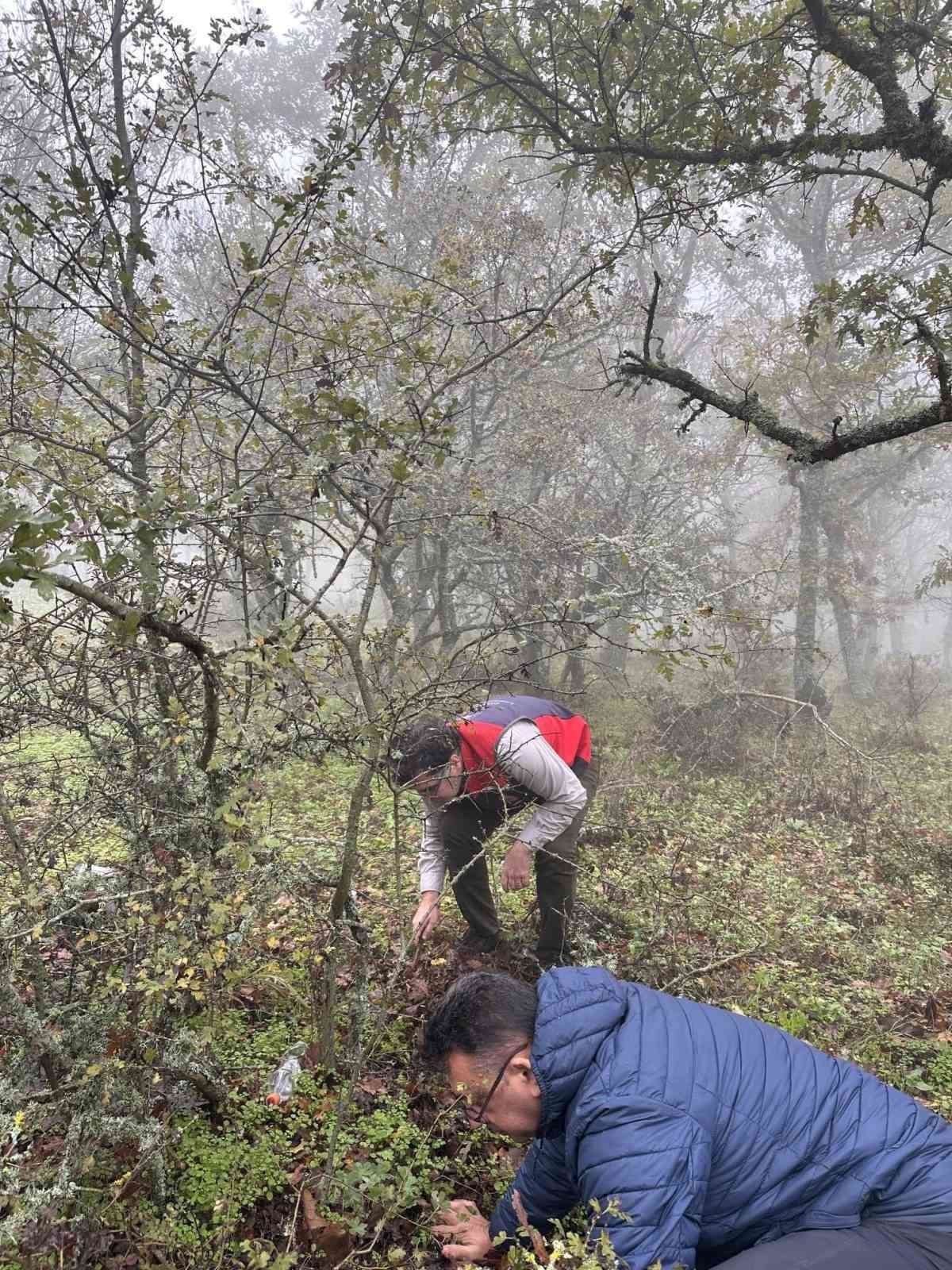 ÇANAKKALE İL TARIM VE ORMAN MÜDÜRLÜĞÜ EKİPLERİNCE HUBUBAT ZARARLISI OLAN SÜNE'YE KARŞI SAHADA...