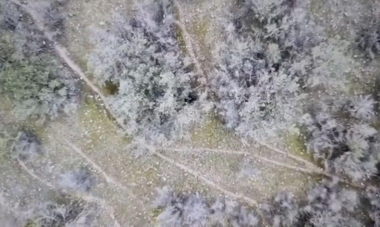 ÇORUM'UN KARGI İLÇESİNDEN GEÇEN KIZILIRMAK NEHRİ'NDE, YASAK OLMASINA RAĞMEN ELEKTRİK AKIMI...
