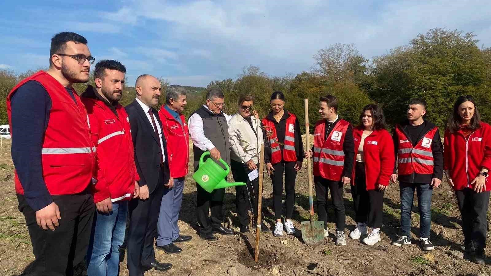 CUMHURBAŞKANI RECEP TAYYİP ERDOĞAN’IN HİMAYELERİNDE 11 KASIM MİLLİ AĞAÇLANDIRMA GÜNÜ KAPSAMINDA...