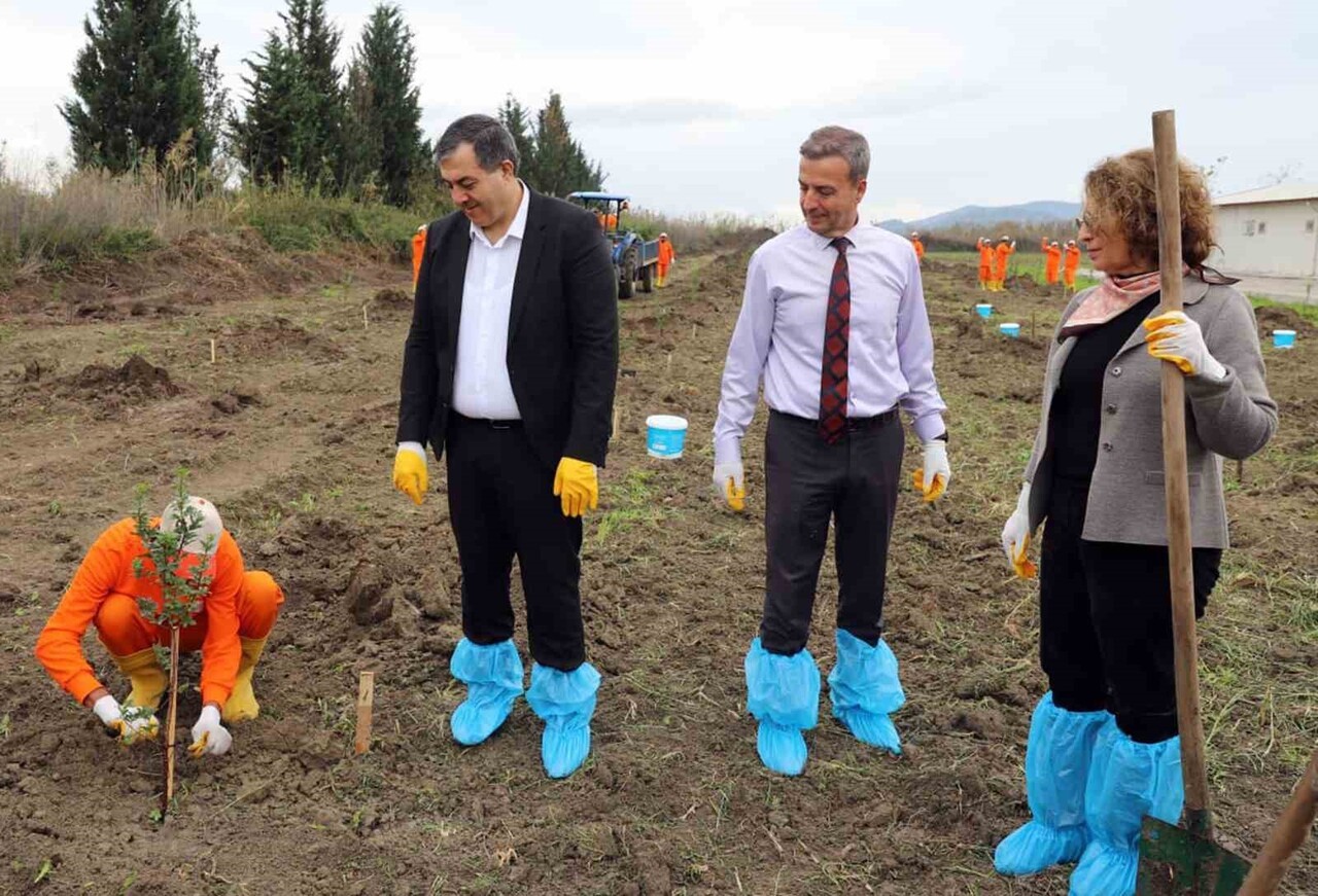 DALAMAN AÇIK CEZA İNFAZ KURUMUNDA 10 DEKAR ALANA SAKIZ AĞACI FİDANI DİKİLDİ