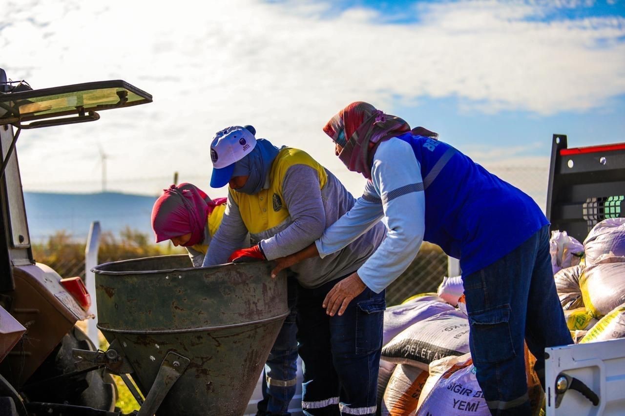 DİDİM BELEDİYESİ, BALAT MAHALLESİ’NDEKİ 70 DÖNÜMLÜK ARAZİDE BUĞDAY EKİMİNİ TAMAMLAYARAK, YEREL...