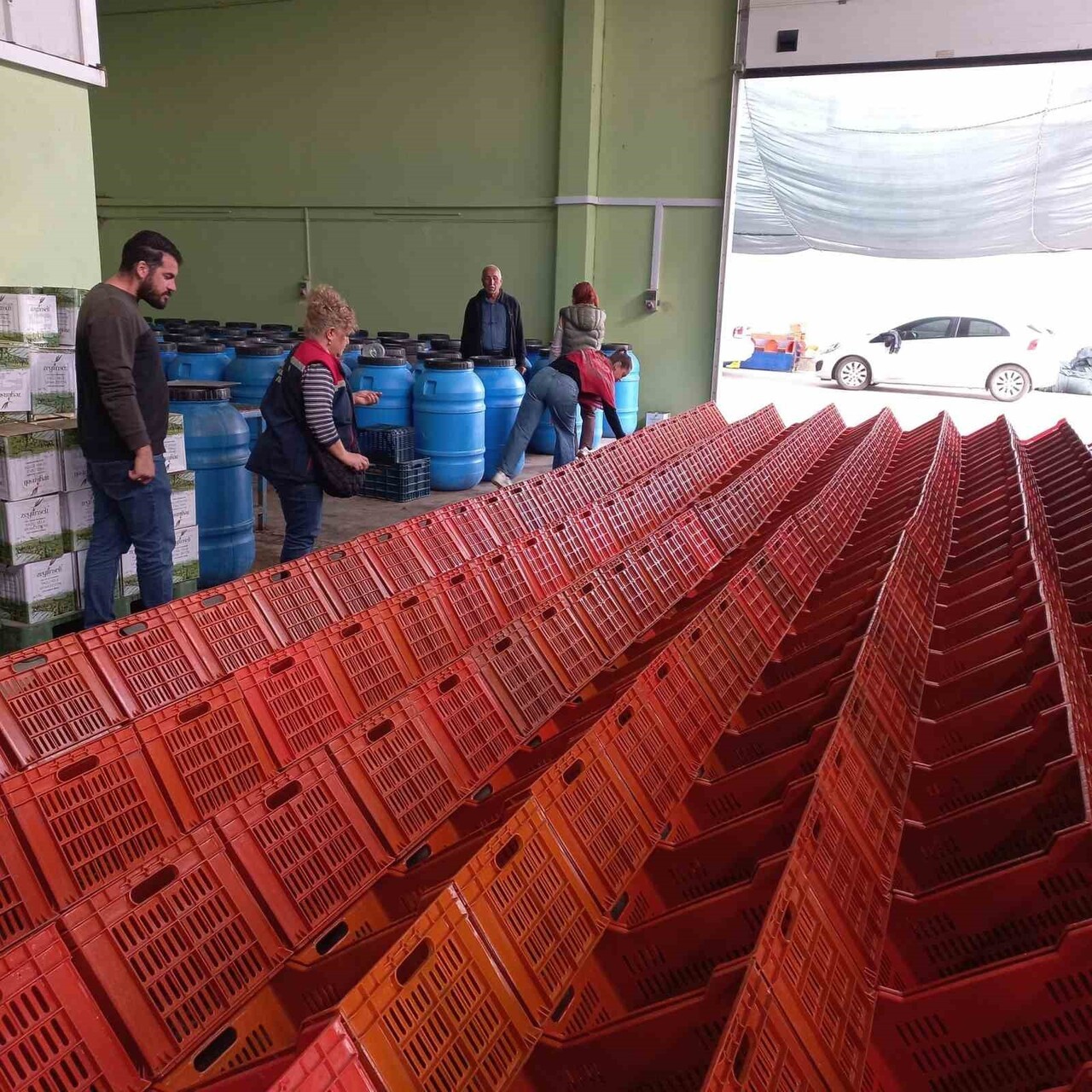 DİDİM İLÇE TARIM VE ORMAN MÜDÜRLÜĞÜ, ORGANİK ZEYTİN VE ZEYTİNYAĞI ÜRETİM ALANLARINDA KAPSAMLI...