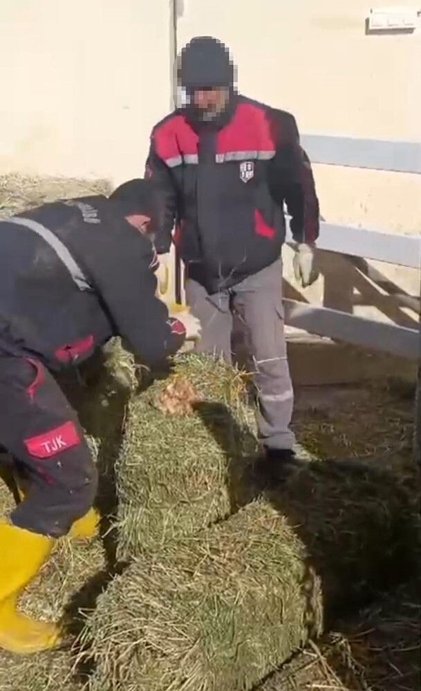 DIŞARIDAN ALINAN YONCA BALYALARININ TARTIDA AĞIR GELMESİ İÇİN İÇERİSİNE TAŞ KONULDUĞU...