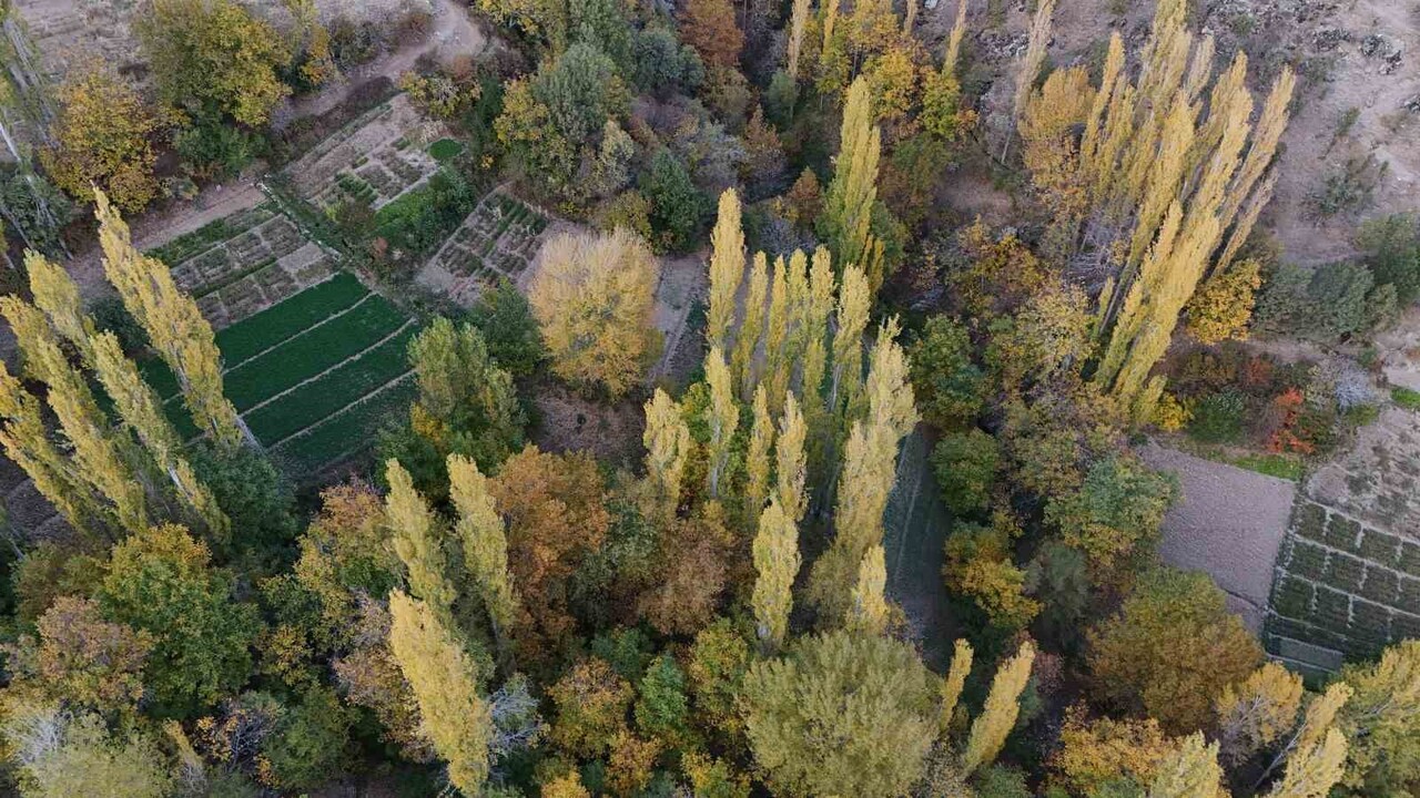 DİYARBAKIR'IN ÇÜNGÜŞ İLÇESİ KIRSAL ATALAR MAHALLESİ'NDE BULUNAN ASIRLIK KERPİÇ EVLER ARASINDA RENK...