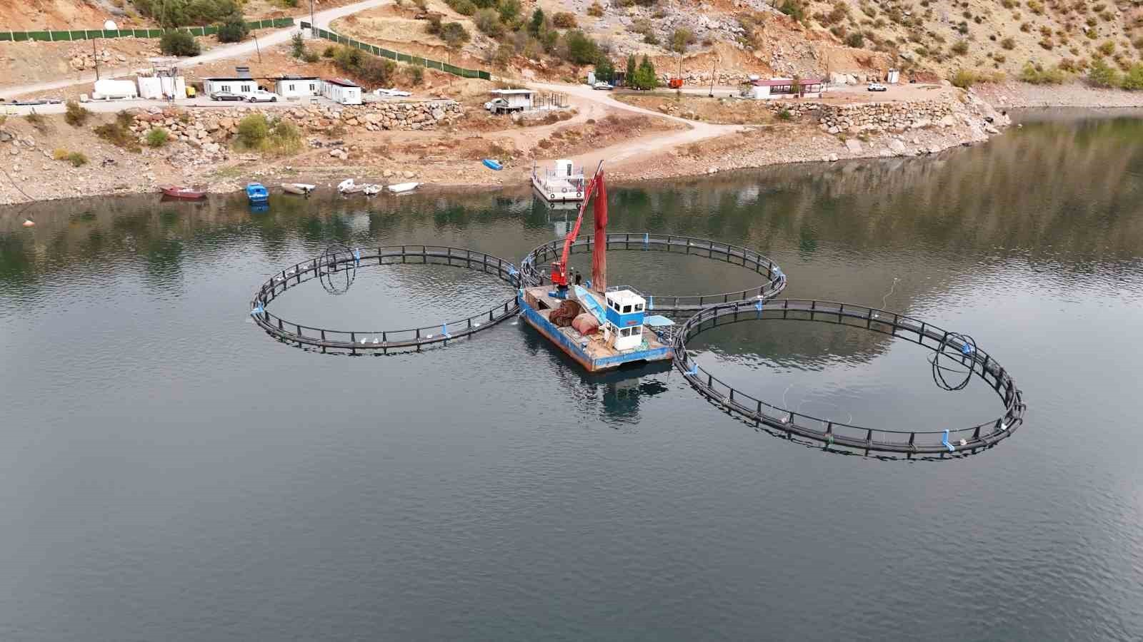DİYARBAKIR'IN ÇÜNGÜŞ İLÇESİNDE ATATÜRK BARAJI HAVZASINDA KURULAN 500 TON KAPASİTELİ BALIK ÜRETİM...