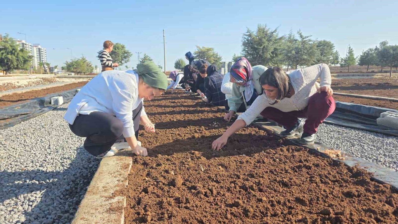 DİYARBAKIR BÜYÜKŞEHİR BELEDİYESİ TARAFINDAN DÜZENLENEN TIBBİ VE AROMATİK BİTKİLER YETİŞTİRİCİLİĞİ...