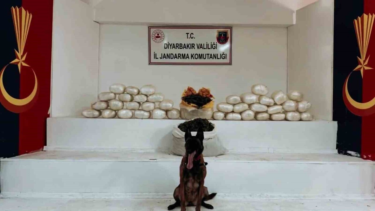 DİYARBAKIR’IN LİCE İLÇESİNDE JANDARMA EKİPLERİNCE DÜZENLENEN UYUŞTURUCU OPERASYONUNDA 470 KİLO...