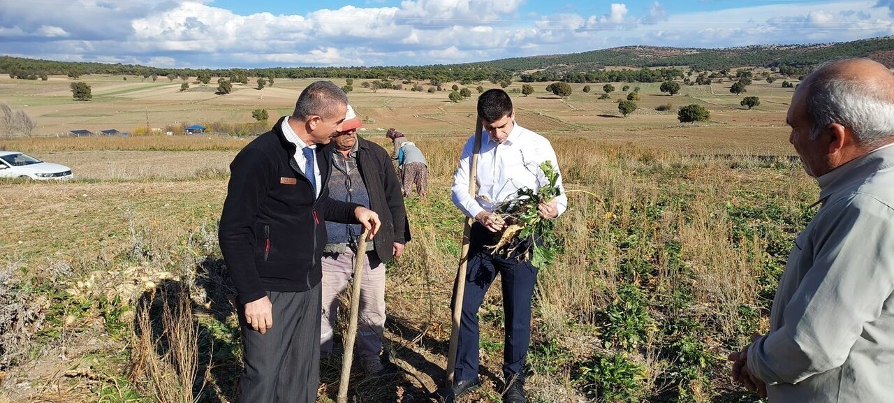 DUMLUPINAR KAYMAKAMI TELTİK, ŞEKER PANCARI HASADINI YERİNDE İNCELEDİ