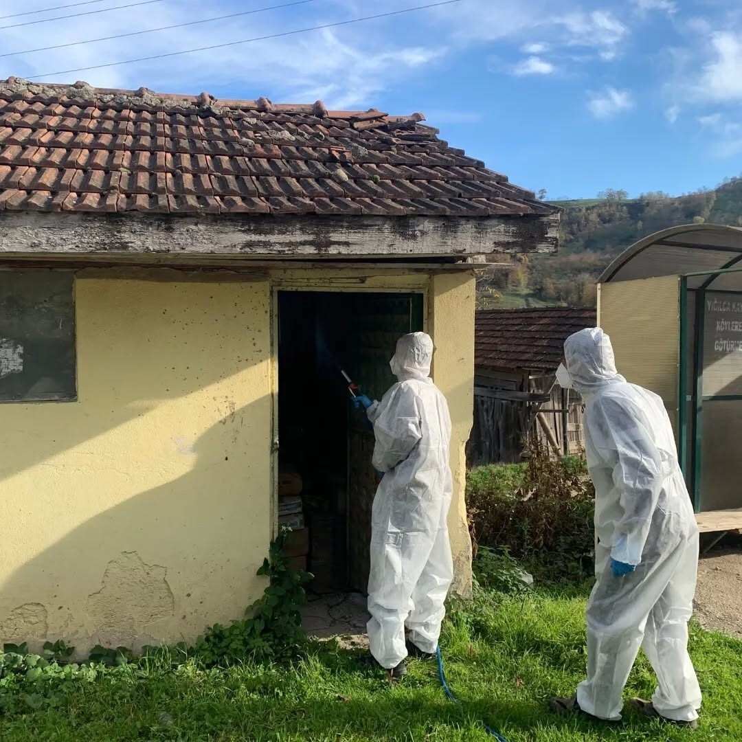 DÜZCE’DE FINDIK ÜRETİCİSİNİN KORKULU RÜYASI KAHVERENGİ KOKARCA İLE KIŞLAK MÜCADELE DEVAM...