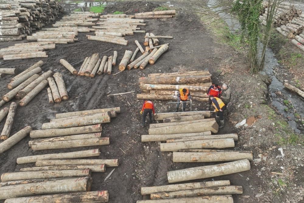 DÜZCE’DE ORMAN ÜRÜNÜ İHRACATI GEÇEN SENEYİ GEÇTİ. DÜZCE'NİN ORMAN ÜRÜNLERİ ÜRETİMİNİN ARTTIRILMASI...