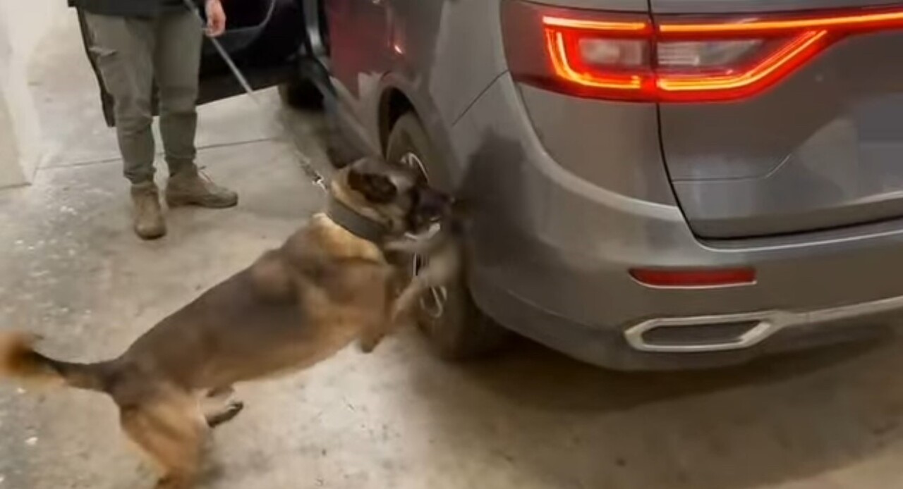 EDİRNE KAPIKULE’DE ARACIN GİZLİ BÖLMELERİNDEN 23 KİLO 820 GRAM SKUNK ÇIKTI