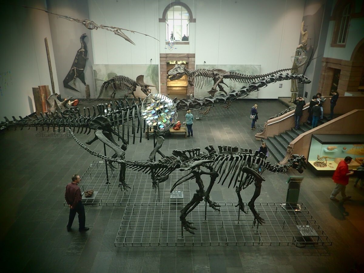 EKOSİSTEMİ KORUMA VE DOĞA SEVENLER DERNEĞİ’NİN (EKODOSD) ÇARŞAMBA SÖYLEŞİLERİ’NDE BU HAFTA...