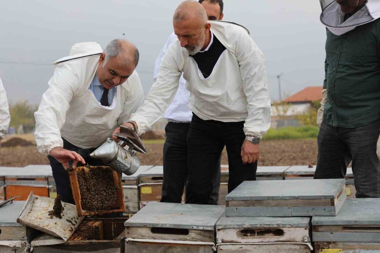 ELAZIĞ’IN YÜKSEK YAYLALARINDA ÜRETİLEN COĞRAFİ İŞARETLİ GEVEN BALI, ARICILARIN ÖZVERİLİ...