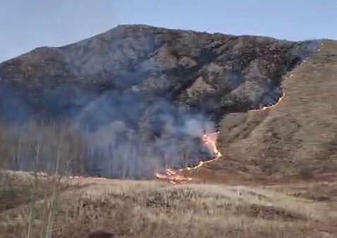 ERZURUM’UN OLTU İLÇESİNE BAĞLI SÜLEYMANLI MAHALLESİ’NDE ÇIKAN ÖRTÜ YANGINI, EKİPLERİN HIZLI VE...