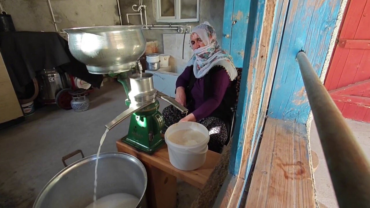 ERZURUM’UN SOFRALARININ VAZGEÇİLMEZ LEZZETLERİNDEN BİRİ OLAN KÜFLÜ PEYNİR, DİĞER ADIYLA GÖĞERMİŞ...