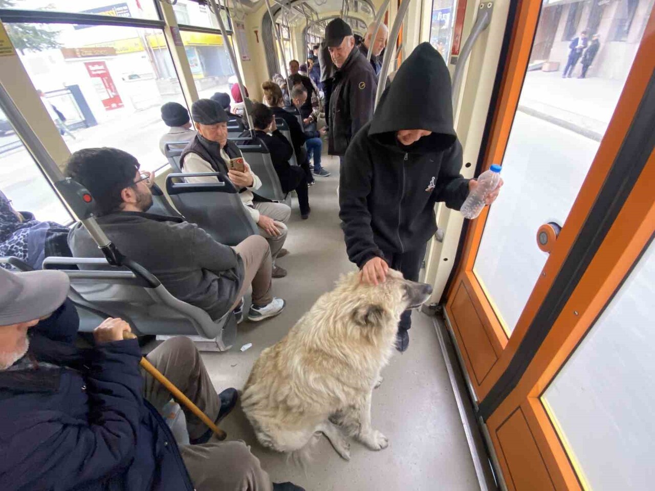 ESKİŞEHİR’DE TRAMVAYA BİNEN KÖPEK YOLCULARIN İLGİ ODAĞI OLURKEN, SEVİMLİ HAYVANI ŞEFKATLE SEVEN...