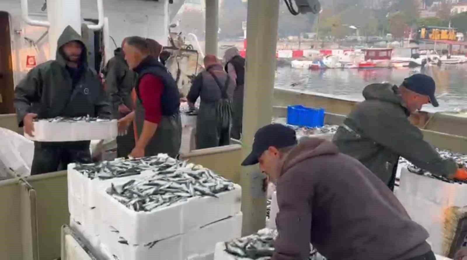 GECE BOYUNCA SÜREN AVIN ARDINDAN BİN KASA HAMSİ VE BİN KASA SARDALYA YAKALAYAN BALIKÇILAR...