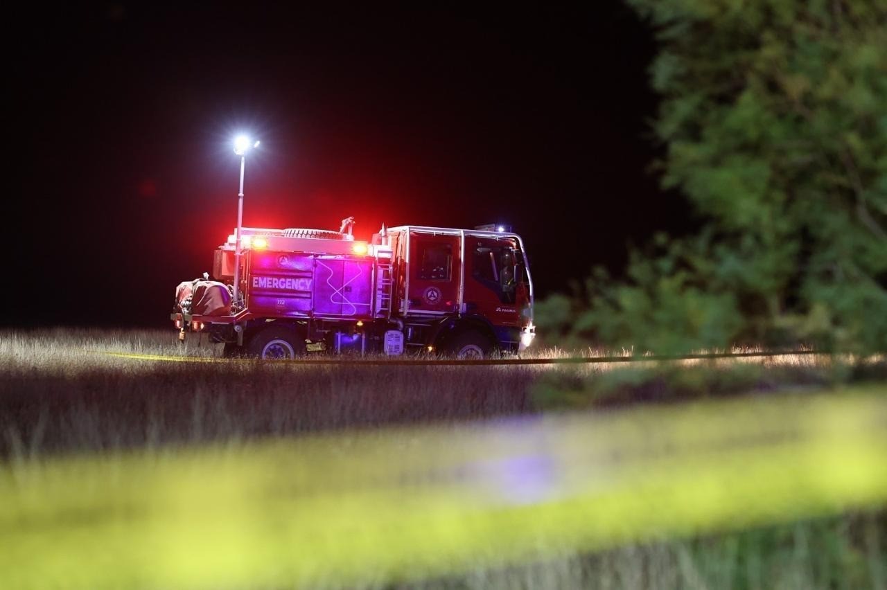 GÜRCİSTAN İÇİŞLERİ BAKANI GELADZE, TÜRKİYE'YE AİT ASKER KARGO UÇAĞININ DÜŞTÜĞÜ...